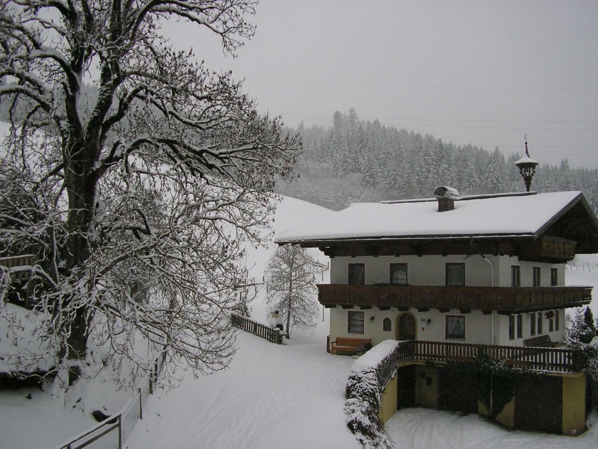 Steinerbauer Villa Flachau Exterior photo